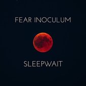 Fear Inoculum - Single
