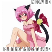 FeLiNaCl 的头像