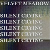 Silent Crying
