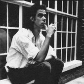 nick cave