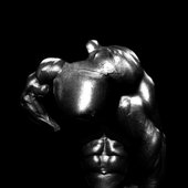 The Gym 13