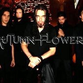 Autumn Flowers - 01.jpg
