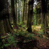 a1071909983_10 (1).jpg