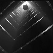 Primordium