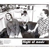 Flight of Mavis