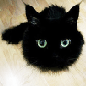 Avatar for DevOGP