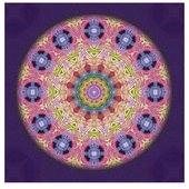 Mystical Numbers by The Rectangle Shades 