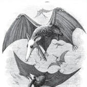 carouselbat 的头像