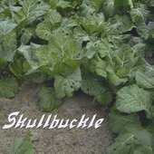 Skullbuckle