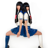 FEMM