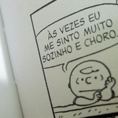 ZaiuNunes 的头像