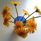LastFM profile picture for @Mosh