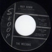 weejuns.jpg