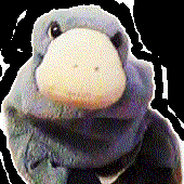 paganplatypus için avatar