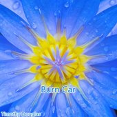 Burn Car