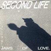 Second Life