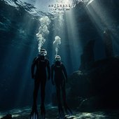 Dive For Me