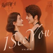 I See You (電視劇《變成你的那一天》插曲)
