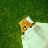 Zzz for You