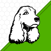 Avatar for imd1060pt