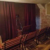 Stares In Disbelief In The Sunflower Field