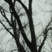 cool photo he took