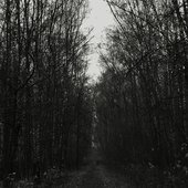 Trip Through Depression And Autumn