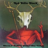 Red Bible Black