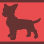 LastFM profile picture for @tar