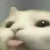 Flollel 的头像