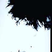 ab67616100005174a44955921f92f0aedb03d15c.jpg