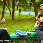 We Singing Colors la iarba verde