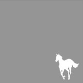 White Pony