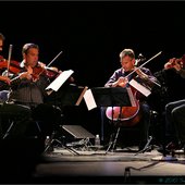 Turtle Island Quartet