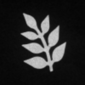 wsmart 的头像
