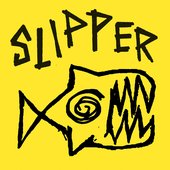 Slipper Punk from Aachen, Germany