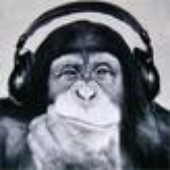 Avatar for MoltenMonkey