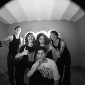 Miembros chads