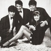 The Carrolls