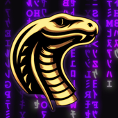 ApoY2k 的头像