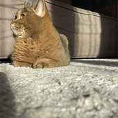 IMG_5169.jpeg