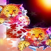 Celia Hearts