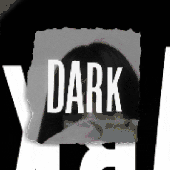dry_flip 的头像