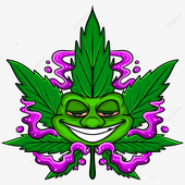 N4che7e için avatar