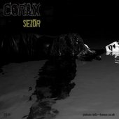Seidr