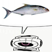 lemonyfishstick 的头像