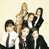 CLASS:y for NYLON