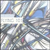 Flying 101