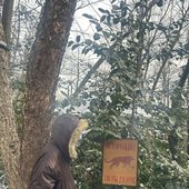 Осторожно! Тигры рядом!