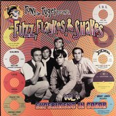 Fuzz, Flaykes & Shakes, vol. 4
